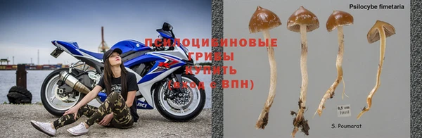 гидропоника Братск