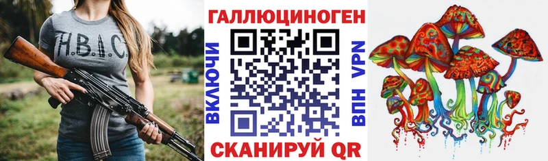Галлюциногенные грибы Psilocybe  блэк спрут зеркало  Тогучин 